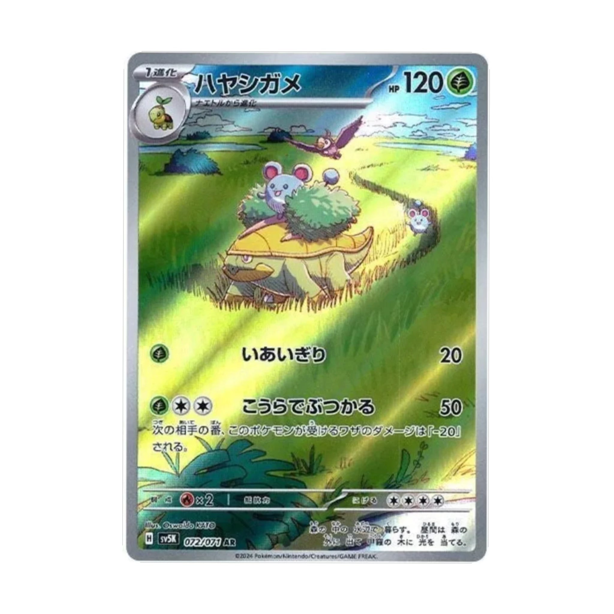 Grotl 072/071 Wild Force AR - SparkLeaf TCG - Pokémon Karten kaufen Schweiz