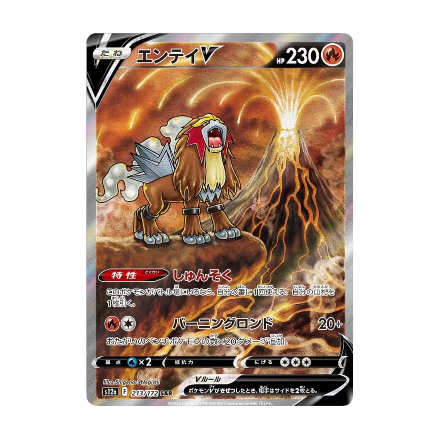 Entei V 213/172 VSTAR Universe SAR - SparkLeaf TCG