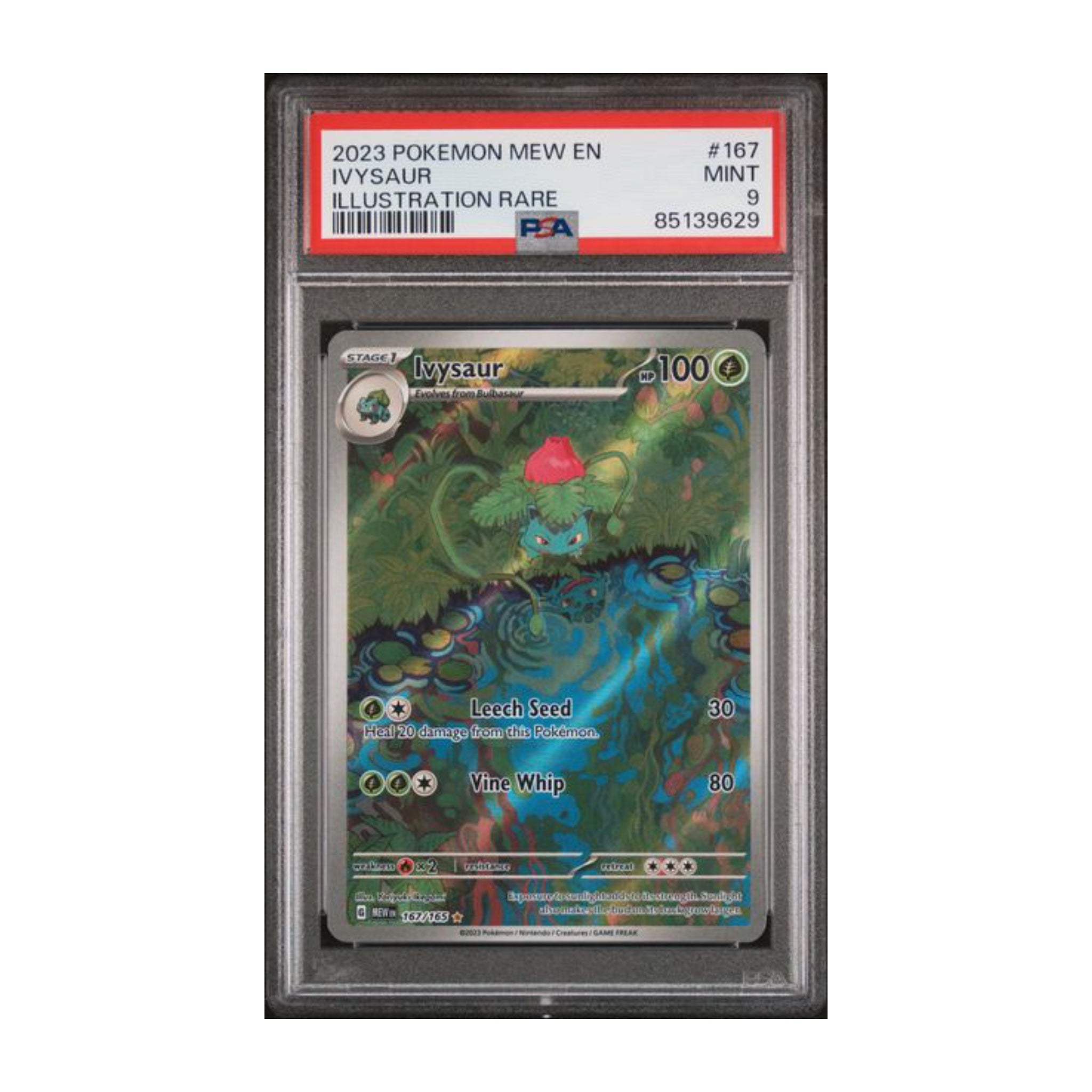 Pokémon Ivysaur 2023 PSA 9 MEW EN 151 AR - SparkLeaf TCG